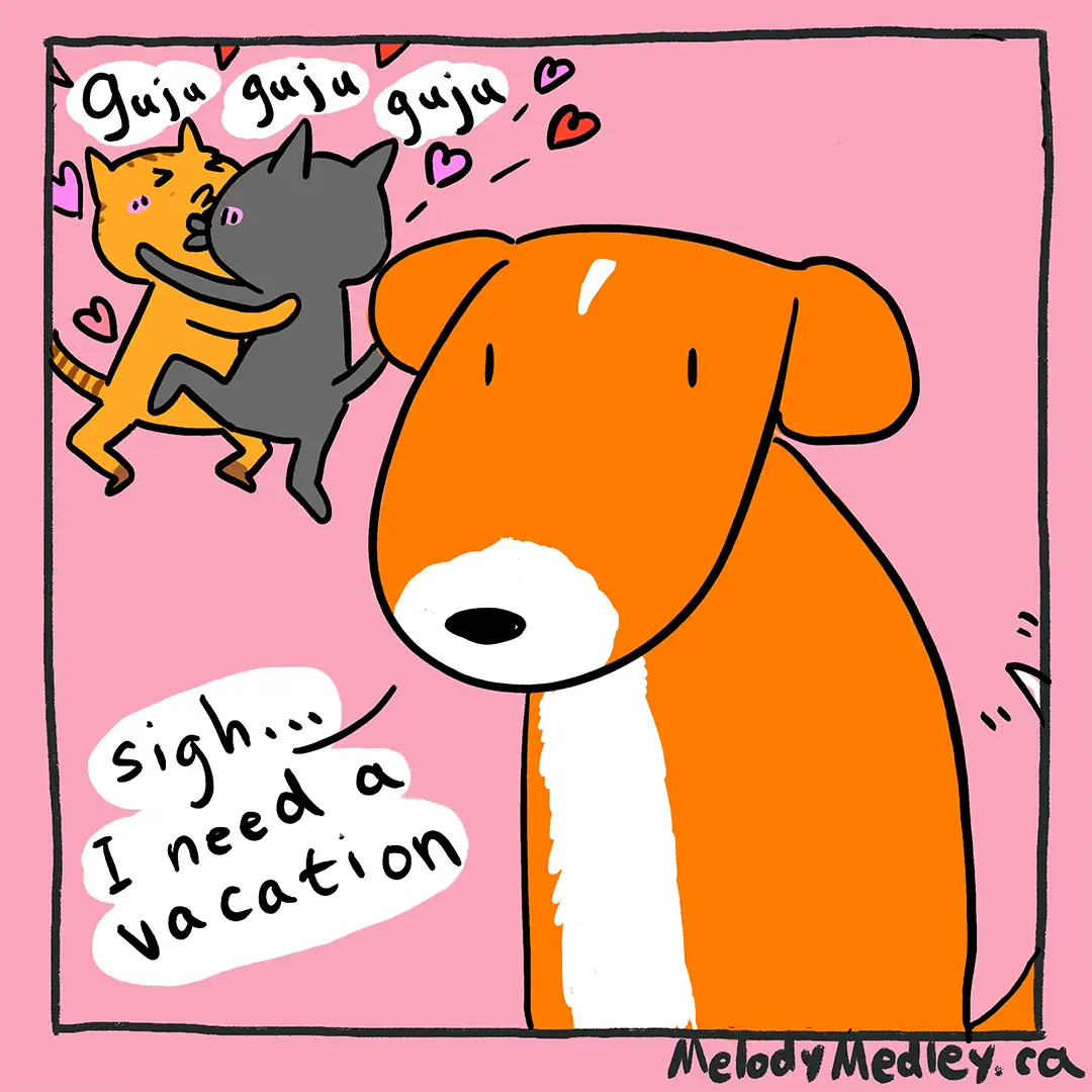 Jakey's Quest for the Perfect Career