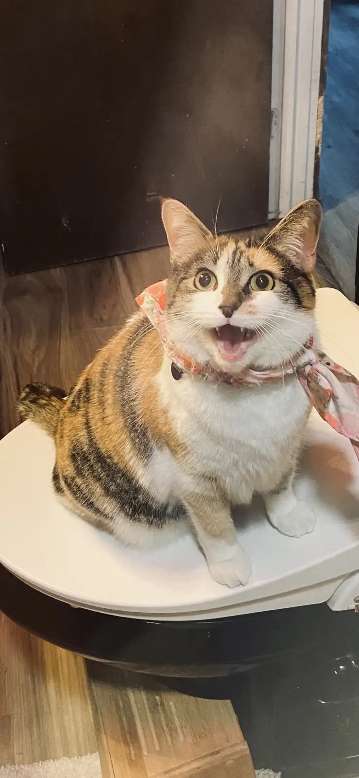 What do you think she's trying to say?