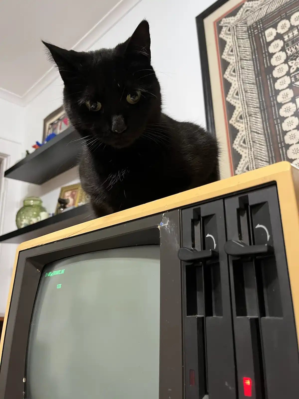 I'll Always Be Watching You