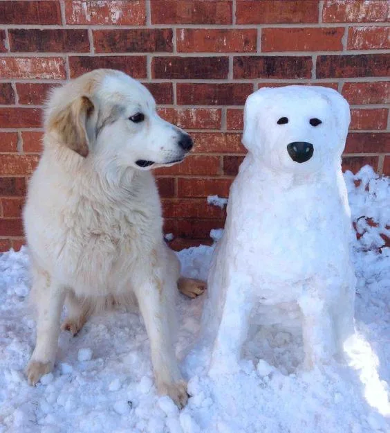 A fluffy, light-colored real dog sits beside a snow sculpture shaped like a dog, both positioned in front of a red brick…