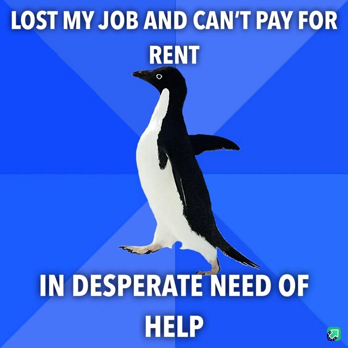 A black-and-white penguin stands against a blue background with diagonal lines, looking slightly to the side. White bold…