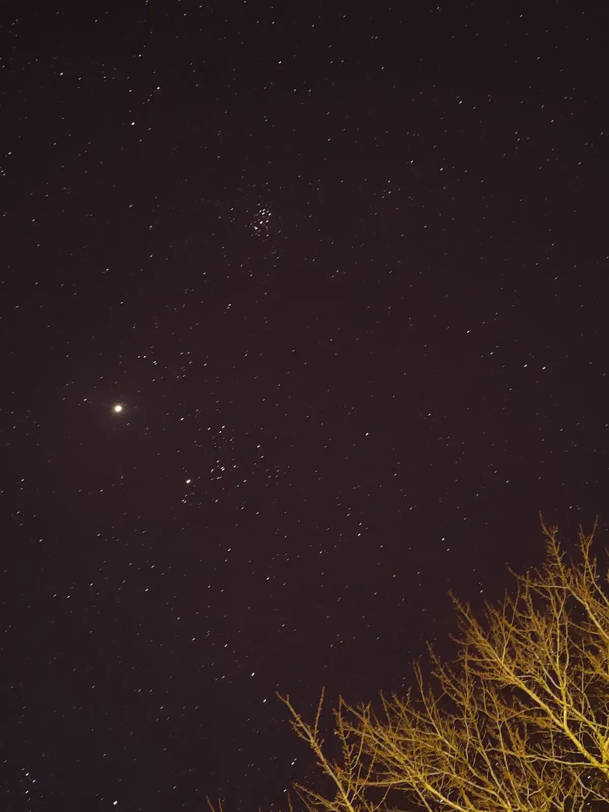 A night sky filled with stars, featuring a bright moon and a cluster of stars, with bare tree branches visible in the bottom…