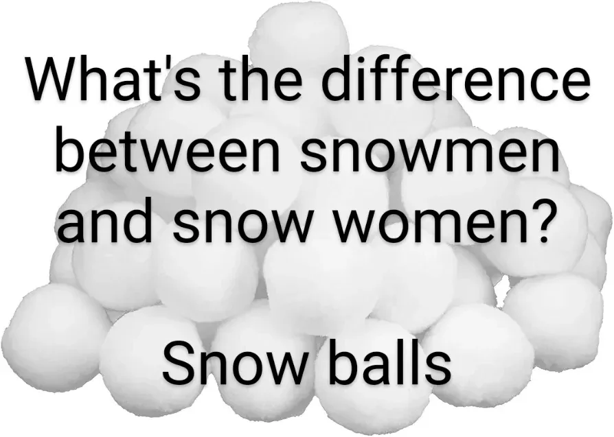 Epic Snowball Showdown!