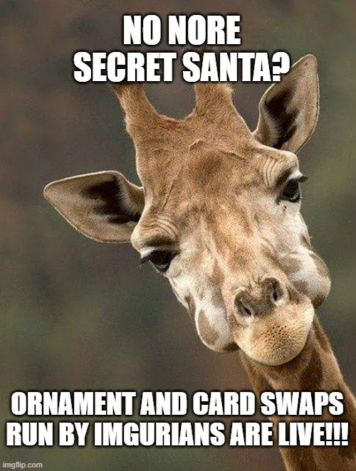 Creative Gift Ideas: Secret Santa Alternatives for 2024