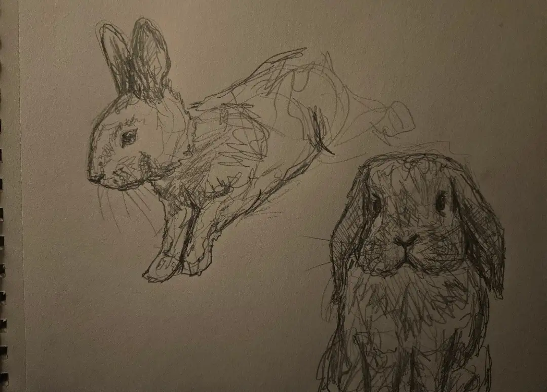 A rough pencil sketch on paper shows two rabbits: one in motion, leaping or running, and another sitting calmly. The drawing…