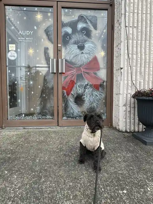 A small black dog wearing a cream-colored sweater sits on a leash in front of a glass door. The door features a large…