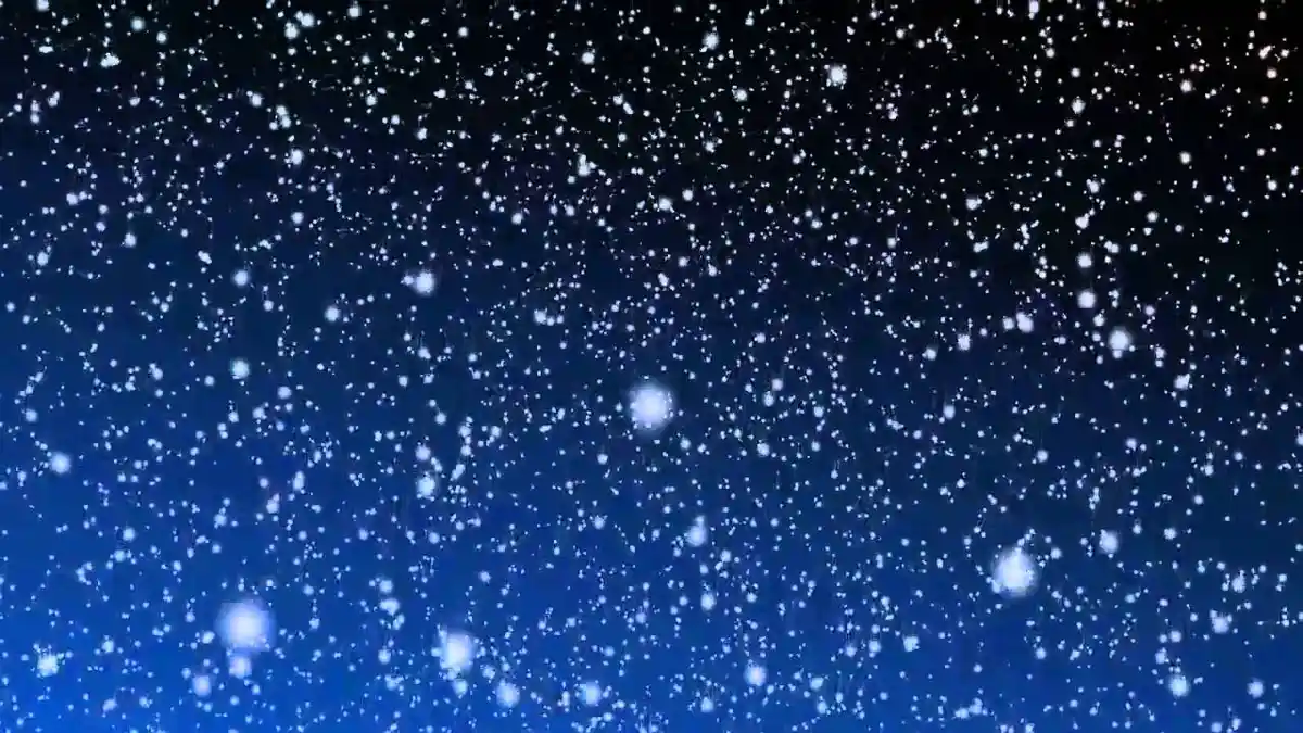 Winter Wonderland: Embracing the Snowy Landscape