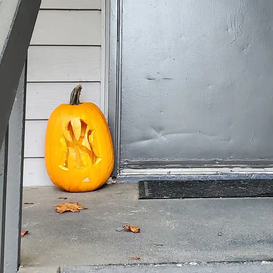 A carved orange pumpkin sits on a concrete doorstep next to a gray door and white siding, with a few fallen leaves nearby…