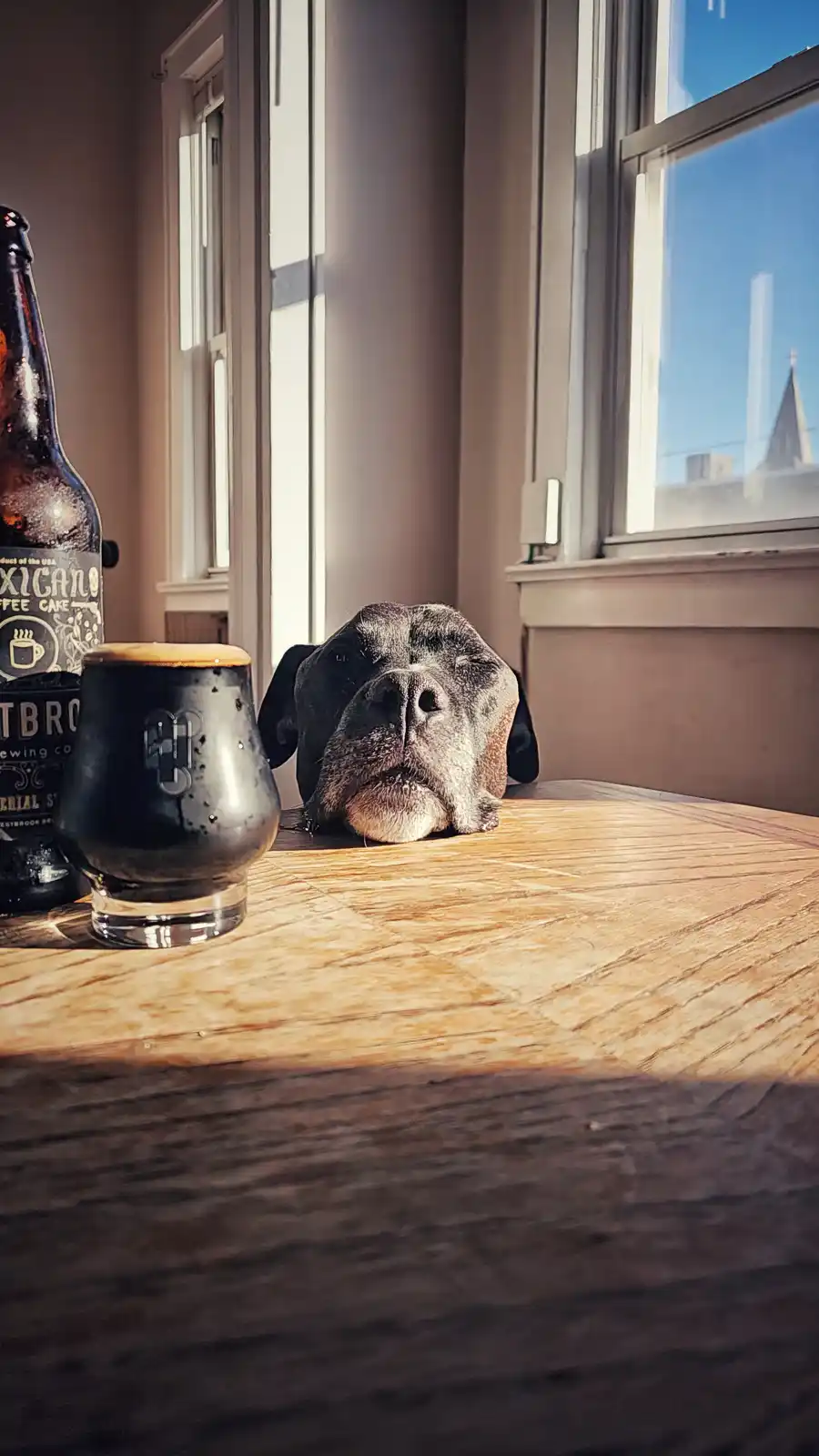A black dog with a wrinkled face rests its head on a wooden table next to a dark beer bottle and a glass mug, bathed in…