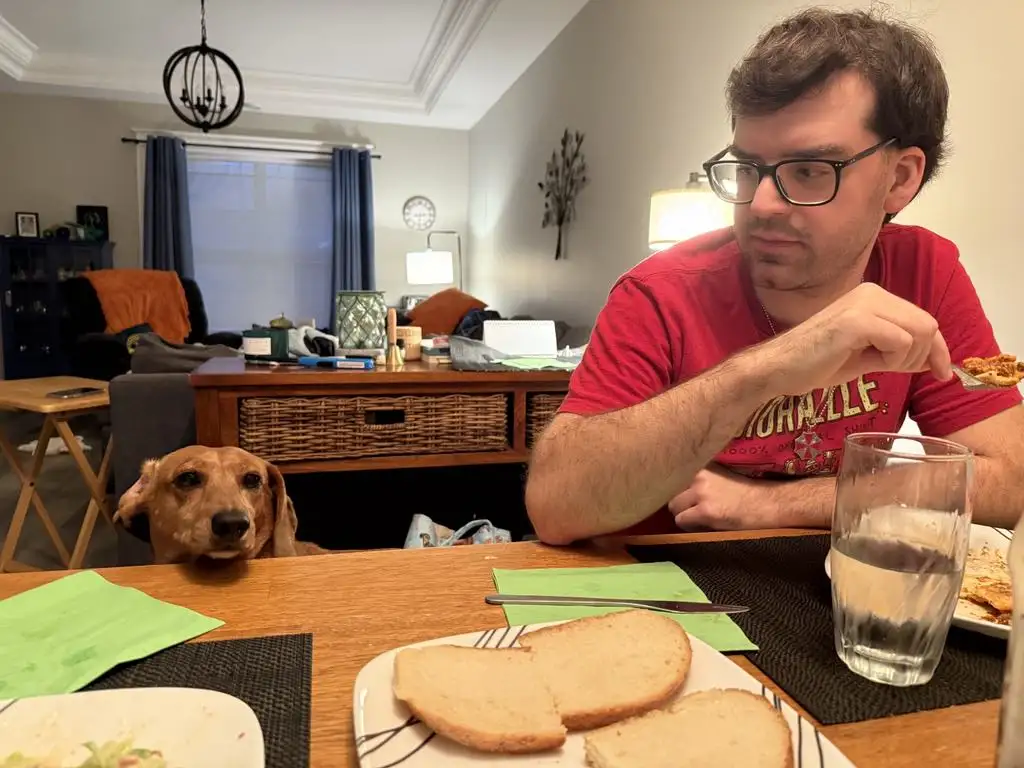 A man in a red shirt eats pizza at a dining table while a brown dog with floppy ears stares intently at him from behind the…