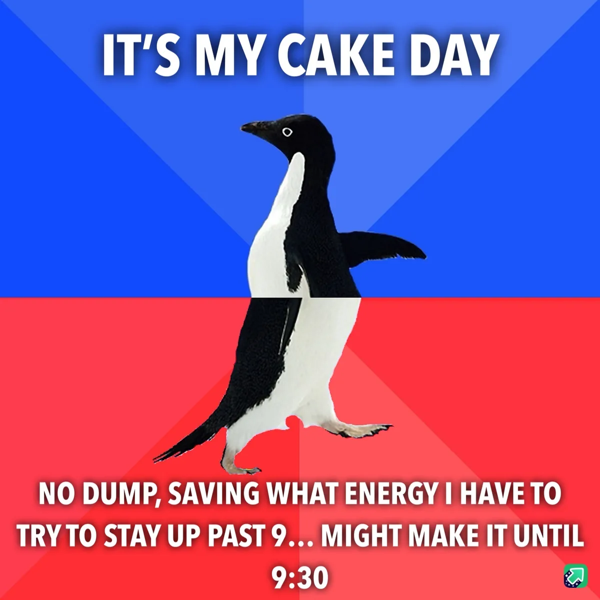 Celebrating My Cake Day While Anticipating Midnight Surprises