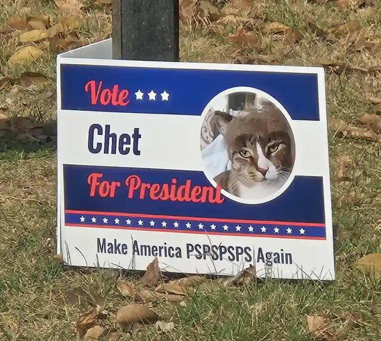Curious About This Candidate's Stance on Key Issues?