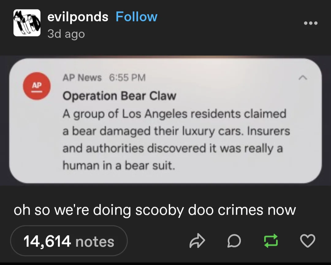 A screenshot of a social media post showing an AP News article titled 'Operation Bear Claw' which reports that Los Angeles…