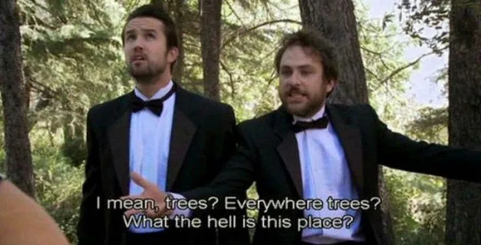 Two men in black tuxedos with bow ties stand in a dense forest, looking confused and gesturing. The man on the left has his…