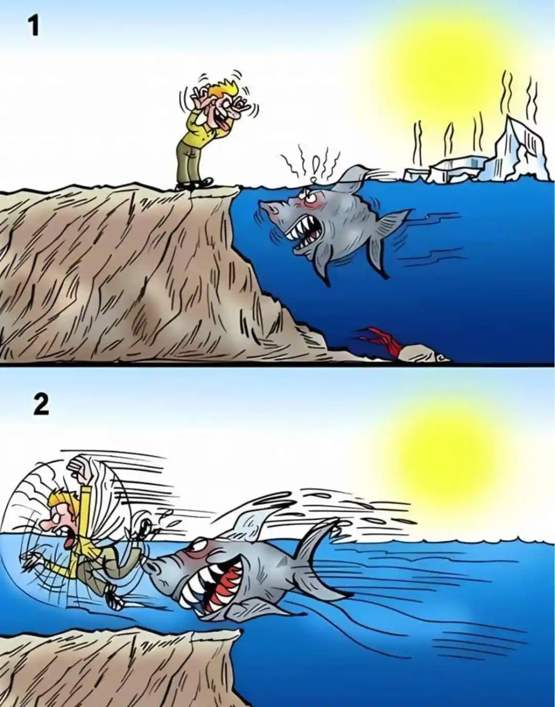 Have you shown kindness to our shark friends?