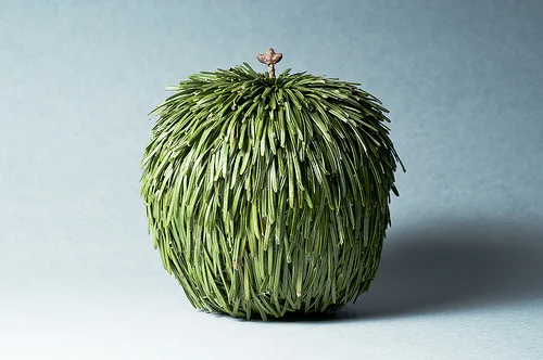 Team Pinecone Brings a Pineapple for Tough Times