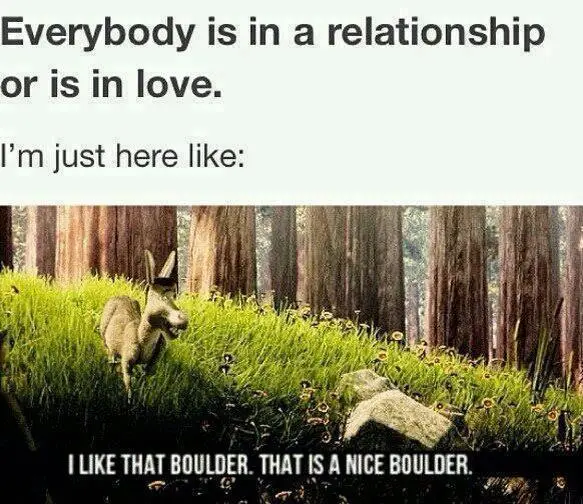 The image shows a donkey standing in a grassy field with tall trees in the background, looking at a boulder. The text above…