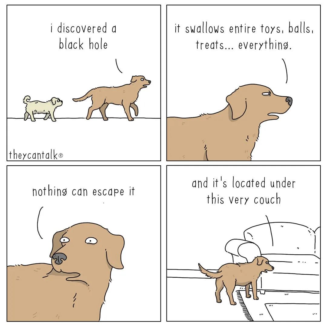 Inspired by TheyCanTalk: A Little Borrowed Humor