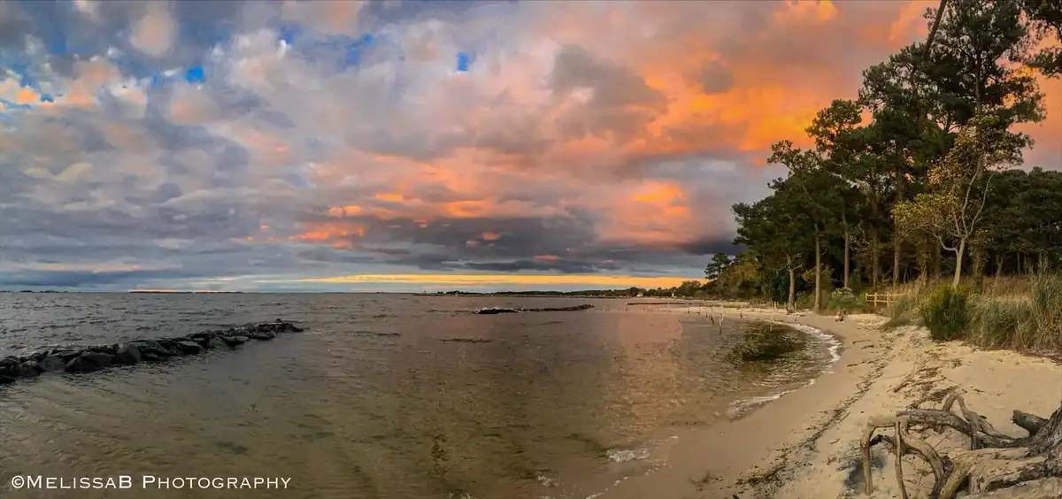 A panoramic photograph of a beach at sunset, showing calm water, a sandy shore with driftwood, and trees on the right, under…