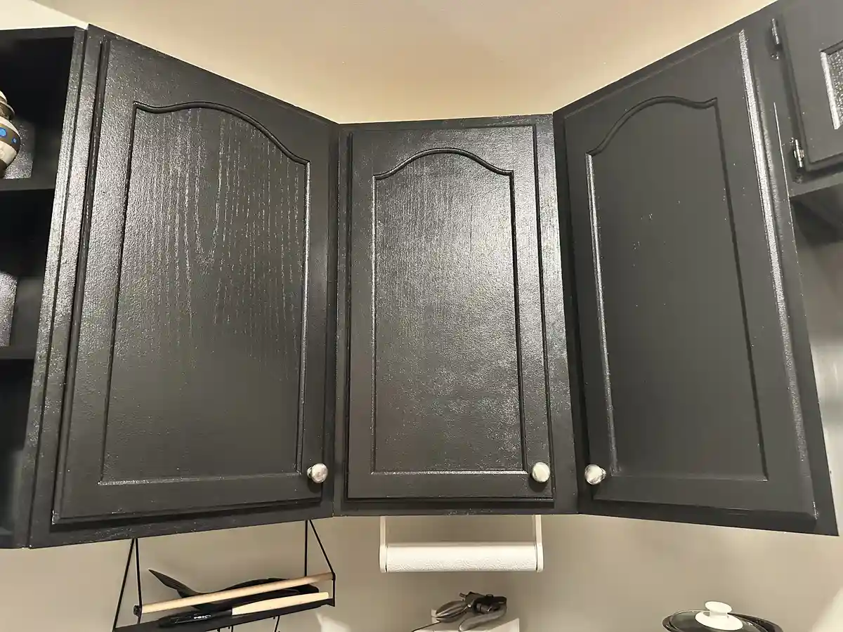 Is This Cabinet Organization Genius or Madness?