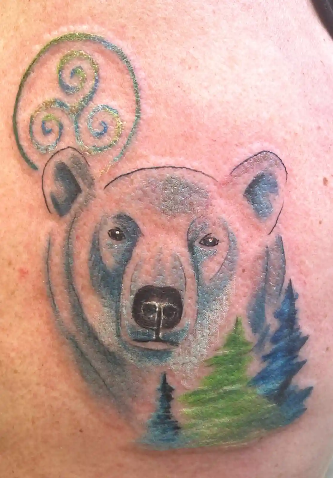 A tattoo on human skin depicts a bear's head with a Celtic triskele symbol above it and pine trees below. The bear is…
