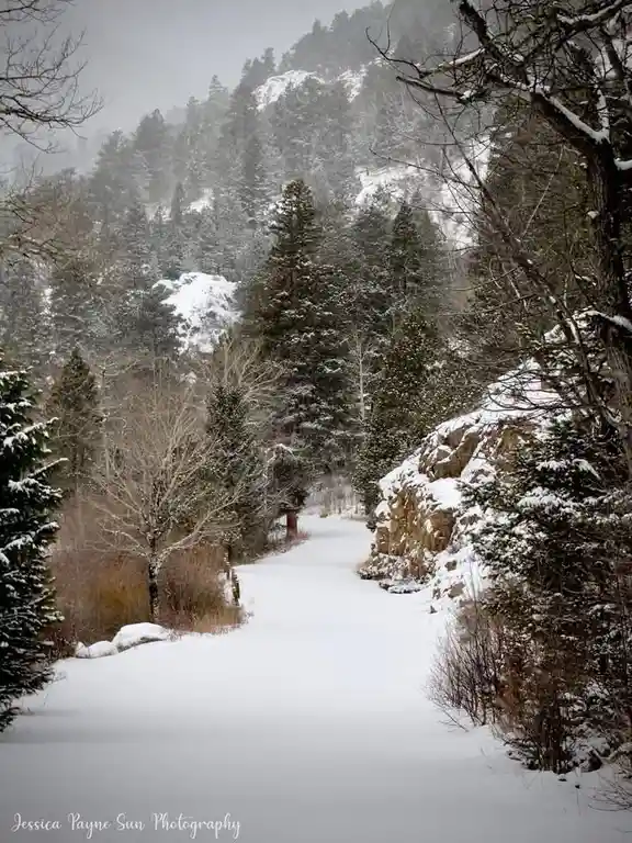 A serene, snow-covered forest path winds through evergreen trees and rocky outcrops under an overcast sky. The image has…