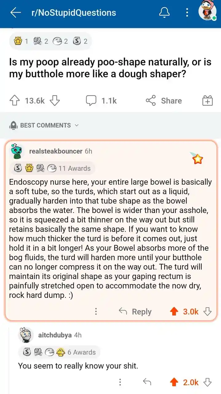 A screenshot of a Reddit post from r/NoStupidQuestions where a user asks if their poop is naturally shaped or if their anus…