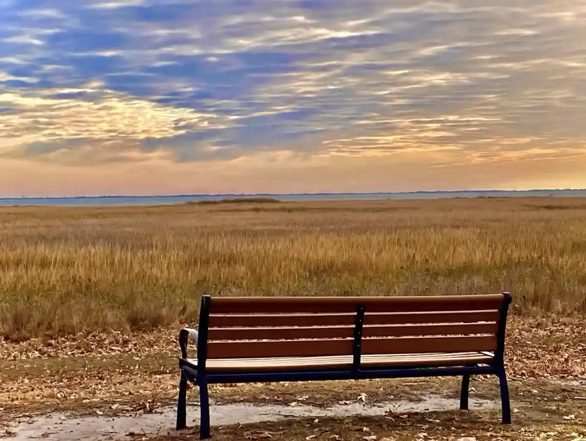 A solitary wooden park bench faces a vast, golden field leading to a distant body of water under a dramatic, colorful sky…