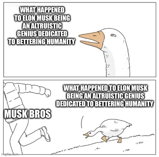 The top panel shows a cartoon goose looking forward with the text 'WHAT HAPPENED TO ELON MUSK BEING AN ALTRUISTIC GENIUS…