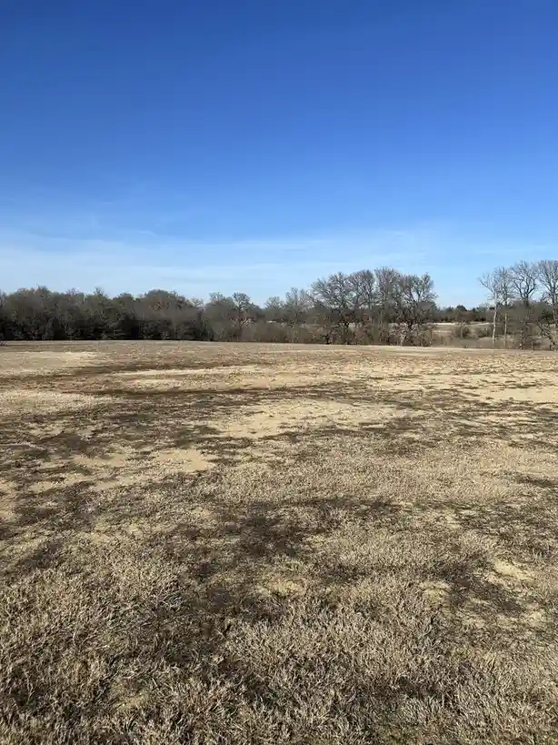 A wide, dry, grassy field under a clear blue sky with bare trees in the distance. A tiny green dot is visible in the middle…