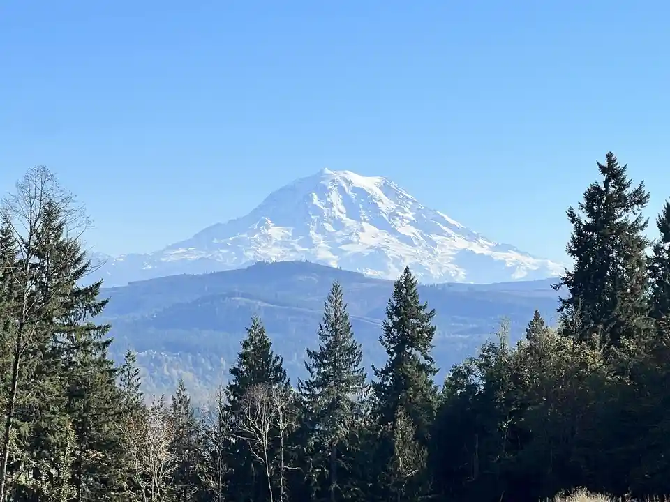 A scenic photograph shows a snow-capped mountain, identifiable as Mount Rainier, rising above a forested landscape under a…