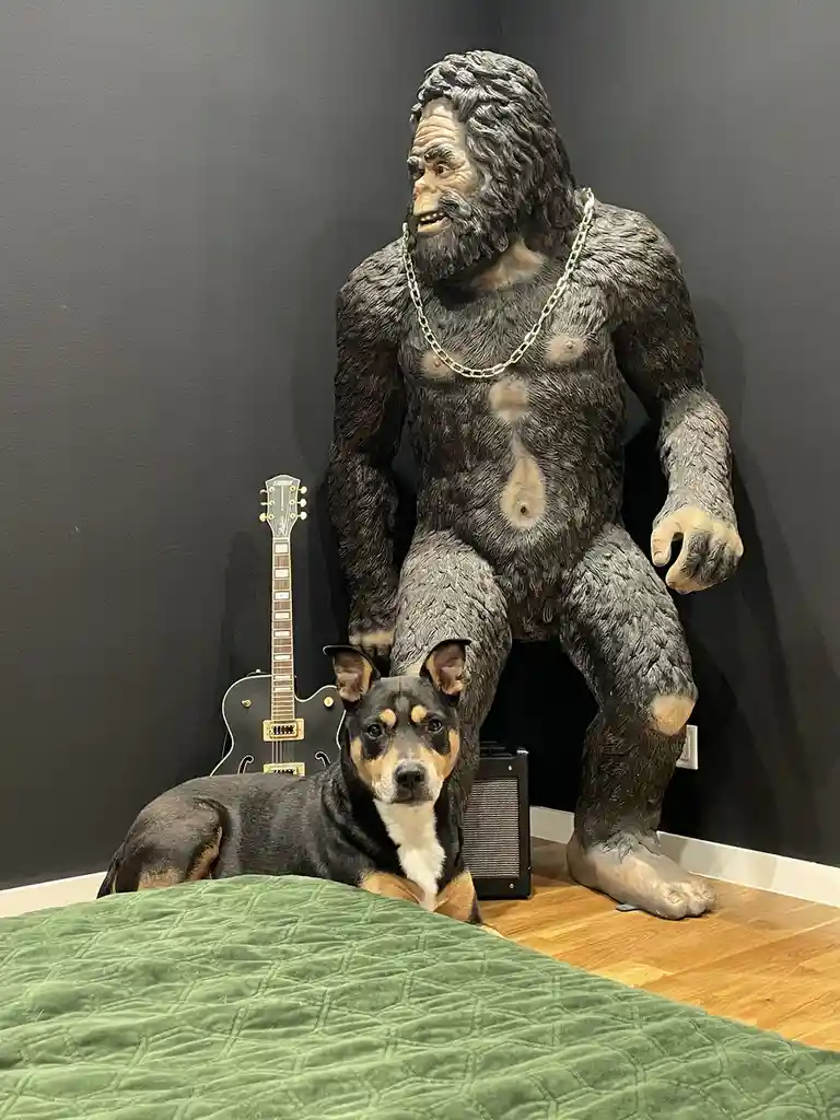 Meet My Home Security Dream Team