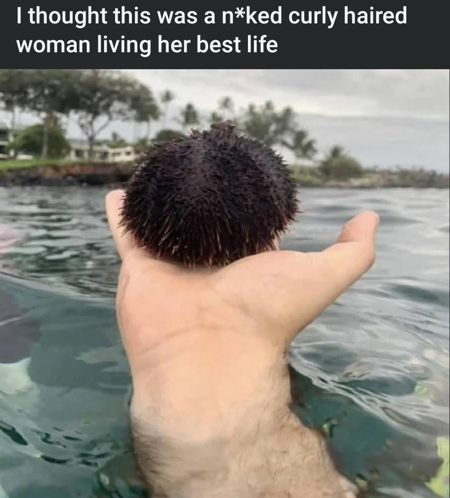 A person is seen from behind, waist-deep in water, with their head and shoulders visible. Their hair is dark, curly, and…