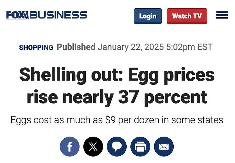 A screenshot of a Fox Business news article header showing a headline about egg prices rising nearly 37 percent, with a…