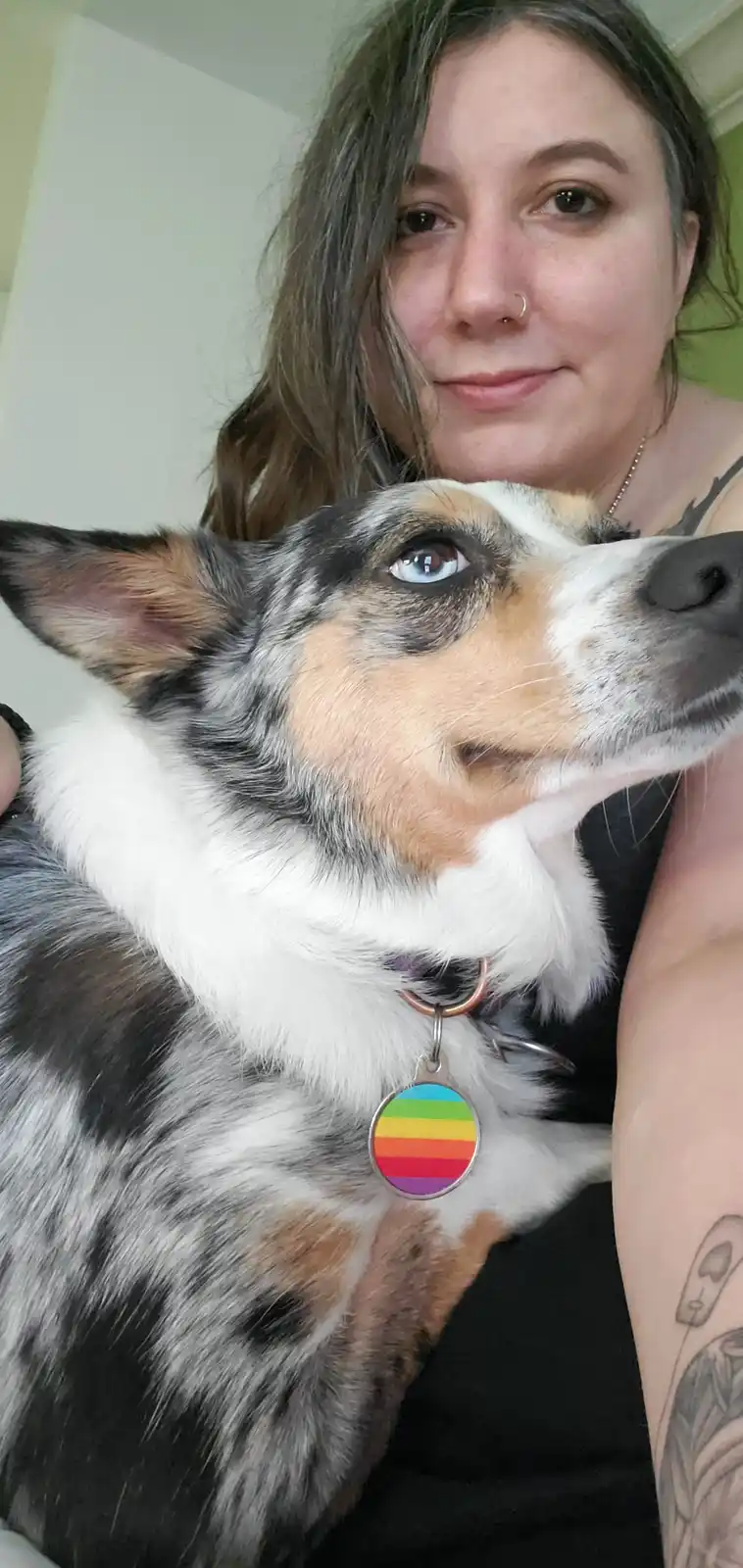 A person with shoulder-length brown hair and a nose ring is holding a blue-eyed, tri-color dog. The dog wears a collar with…