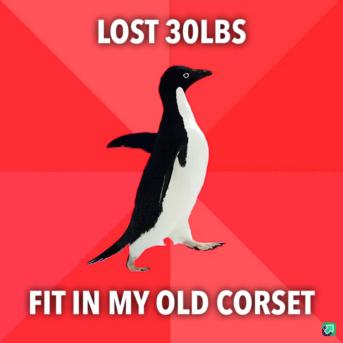 A black-and-white penguin stands against a red background with diagonal stripes. White bold text at the top reads 'LOST…