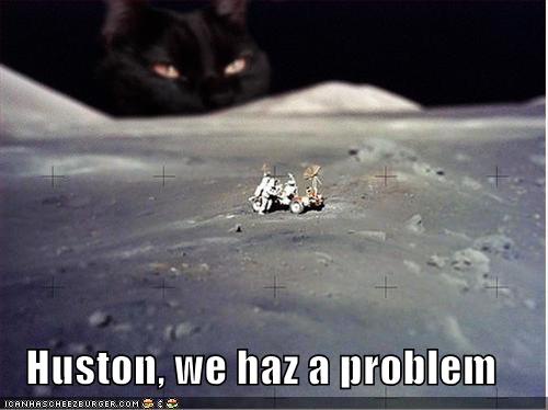The Feline Side of the Moon