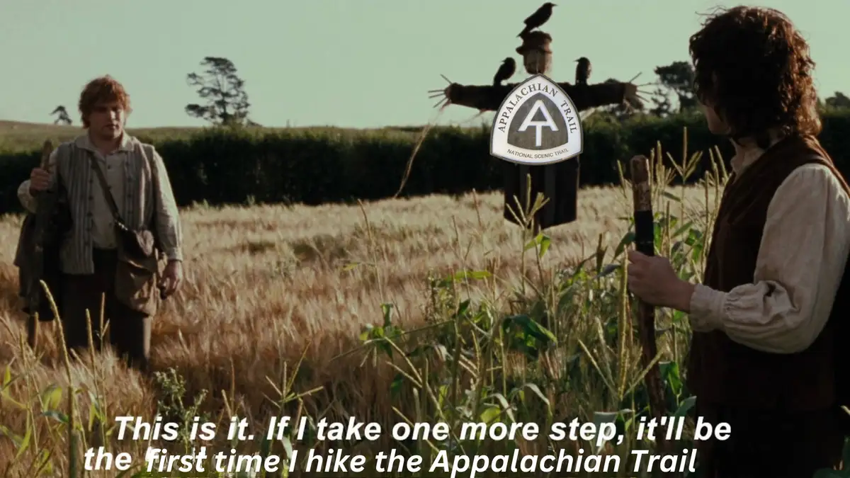 Two hobbits stand in a wheat field, one facing the camera and the other turned away, looking at a scarecrow. A logo for the…