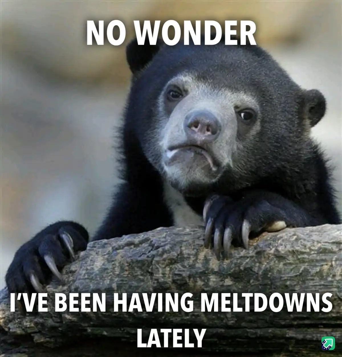 The Struggles of #PMS: A Universal Experience