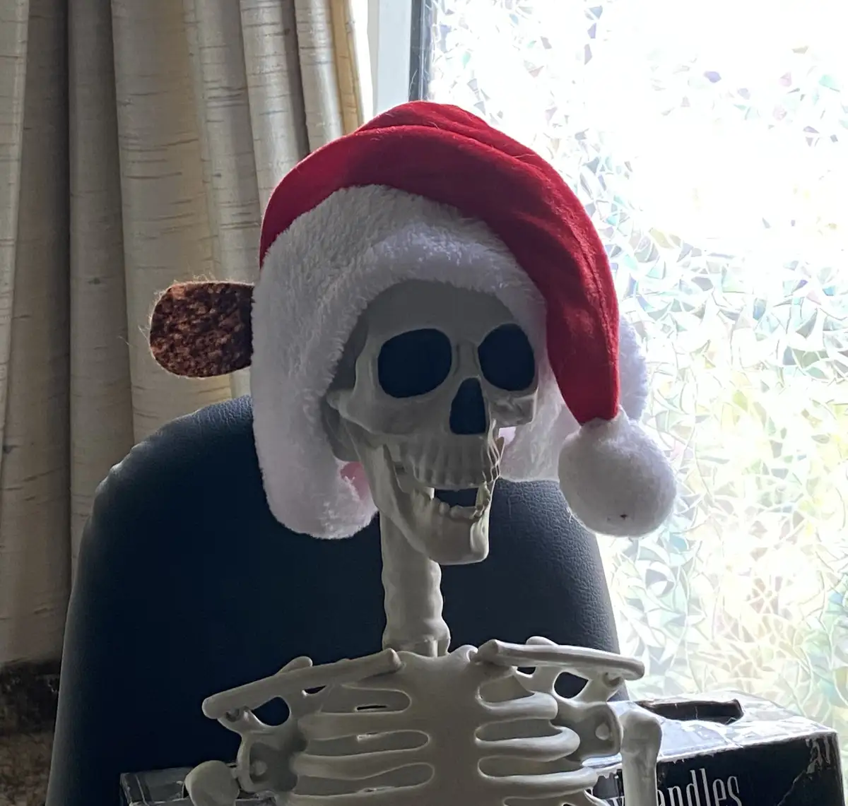 A plastic skeleton wearing a red and white Santa hat with a brown fuzzy ear attached to the side, sitting upright in a dark…