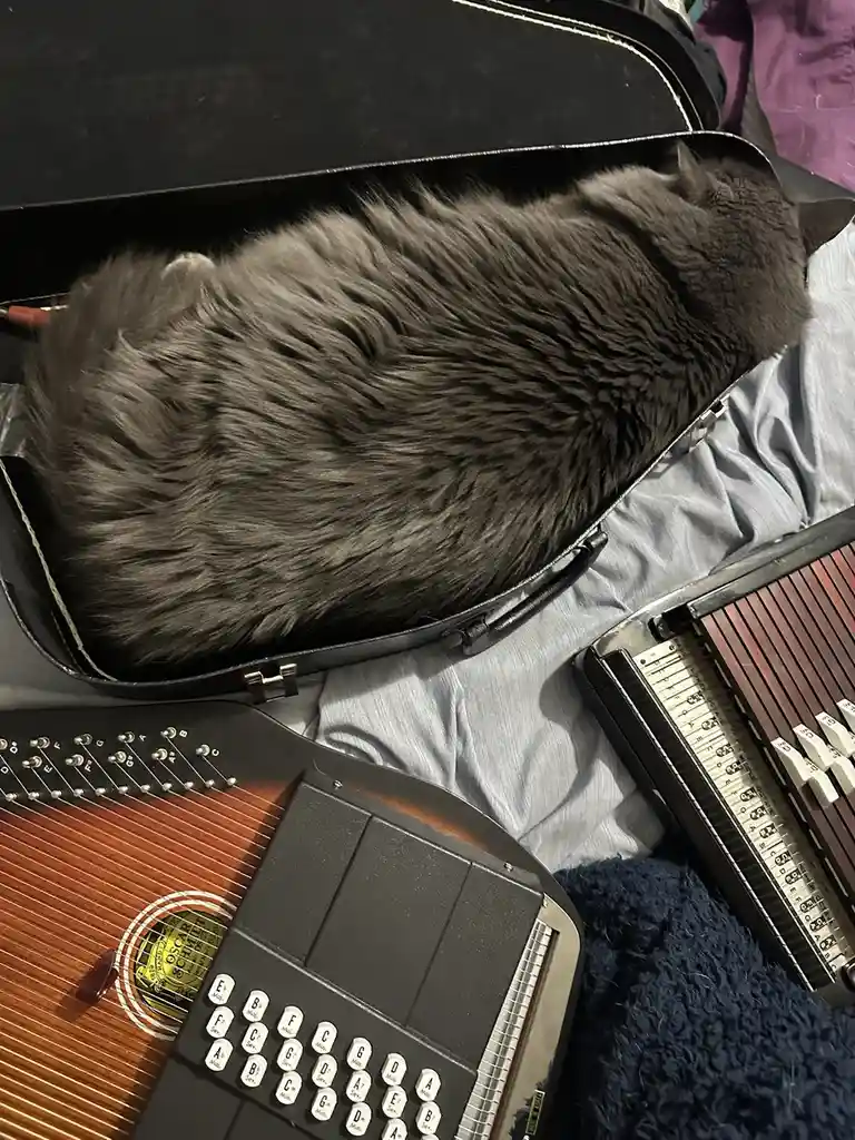 A fluffy gray cat is curled up and sleeping inside an open black guitar case, which is resting on a bed with light blue…