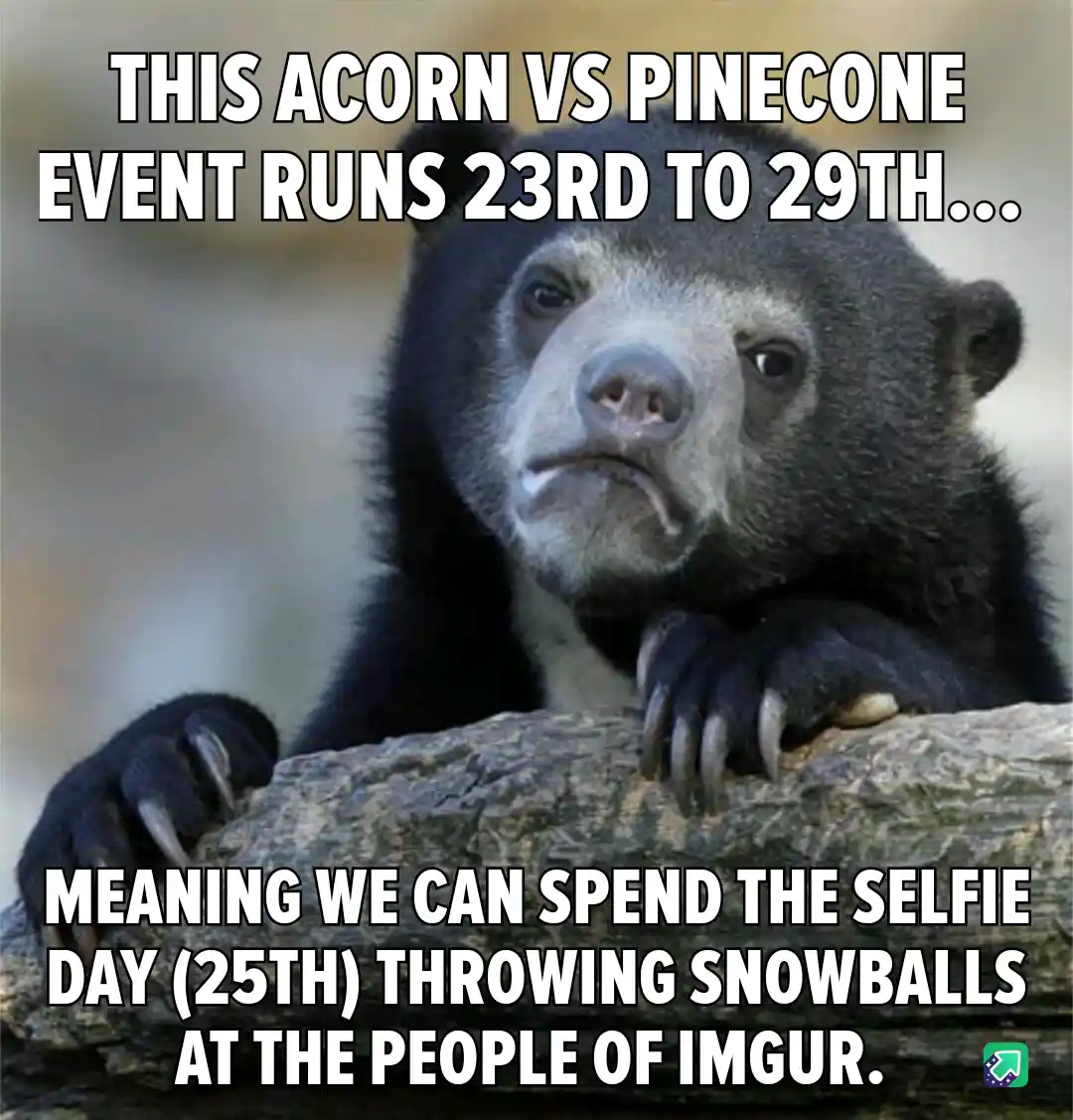 Prepare for a Snowball Fight Right in Your Face!