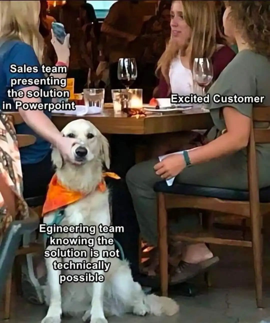 A golden retriever wearing an orange bandana sits at a restaurant table, looking directly at the camera. A woman to the left…