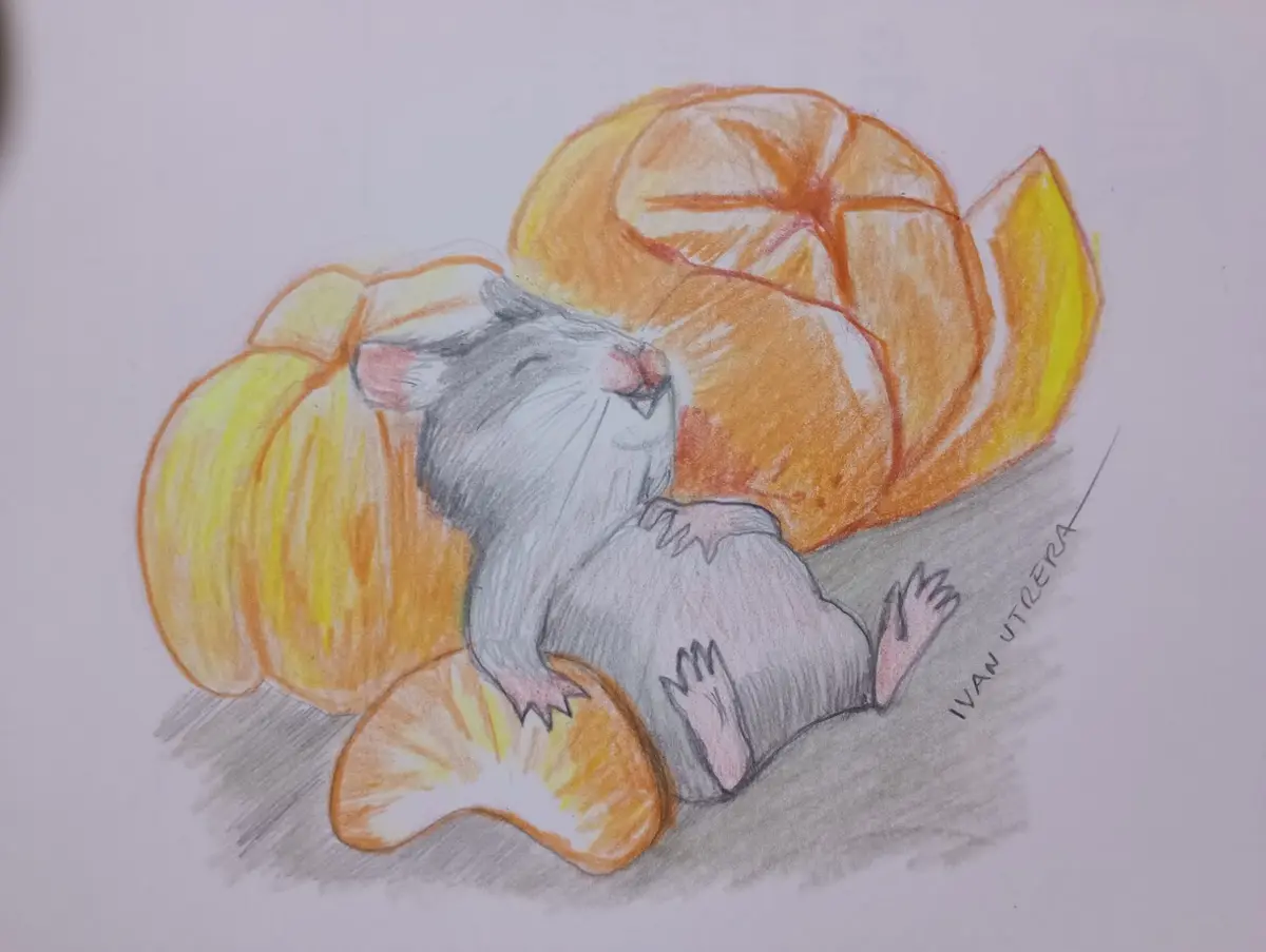Artistic Sketch: A Glimpse of Creativity