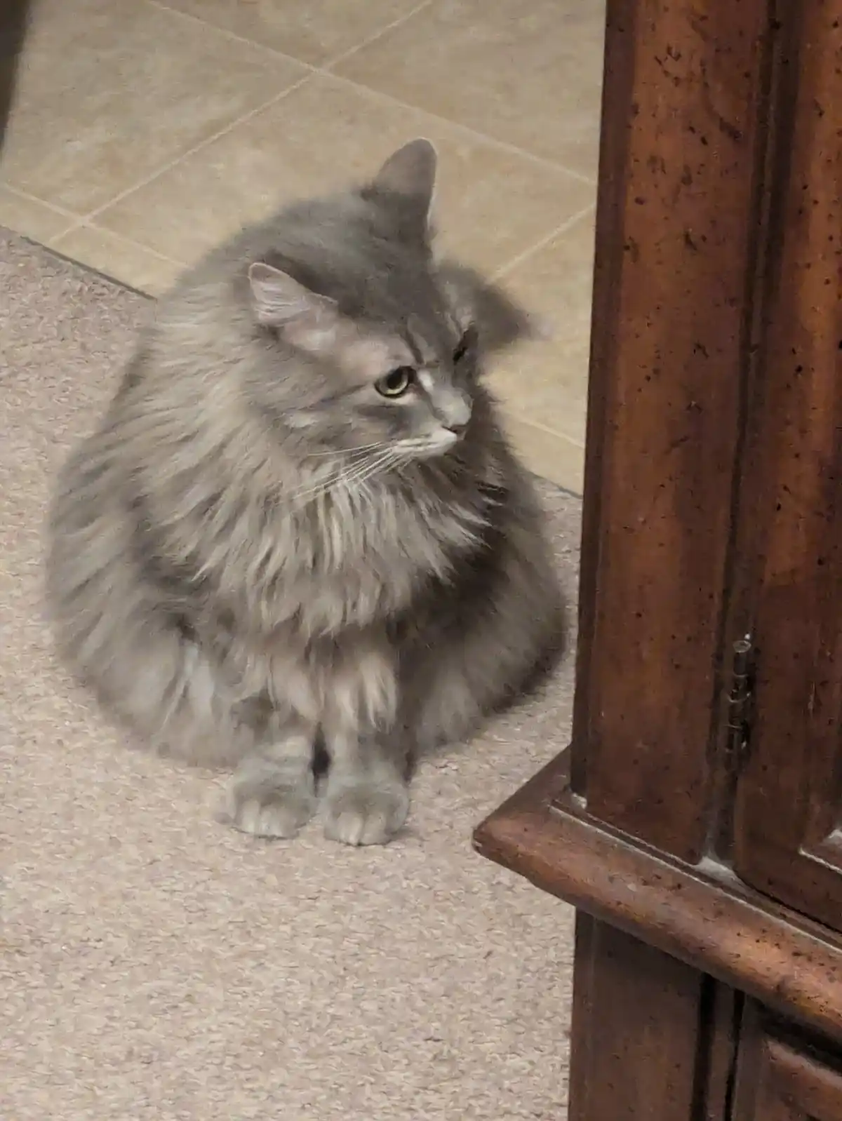 She’s a Tower of Pure Hatred