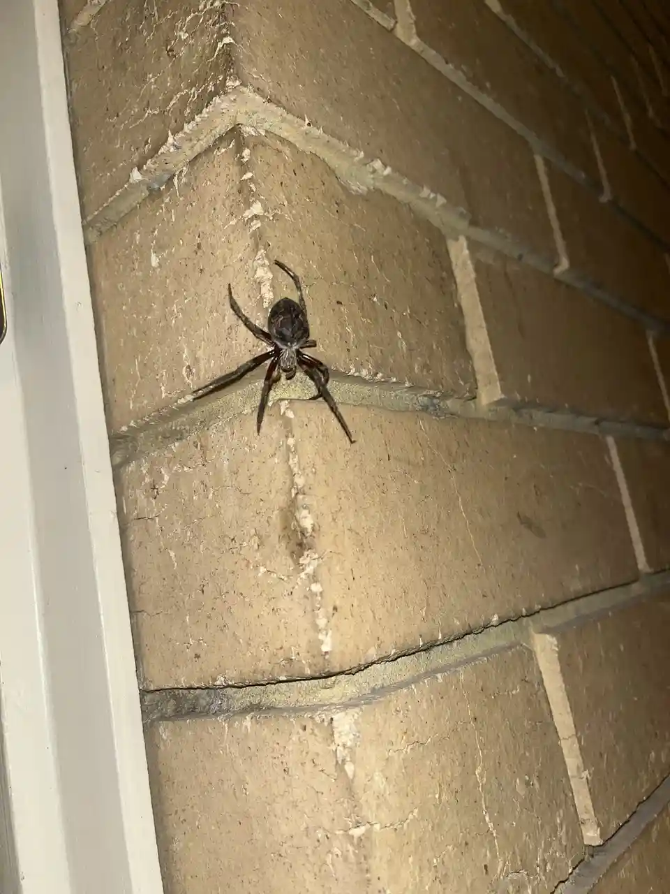 Exploring the Wonders of Australia