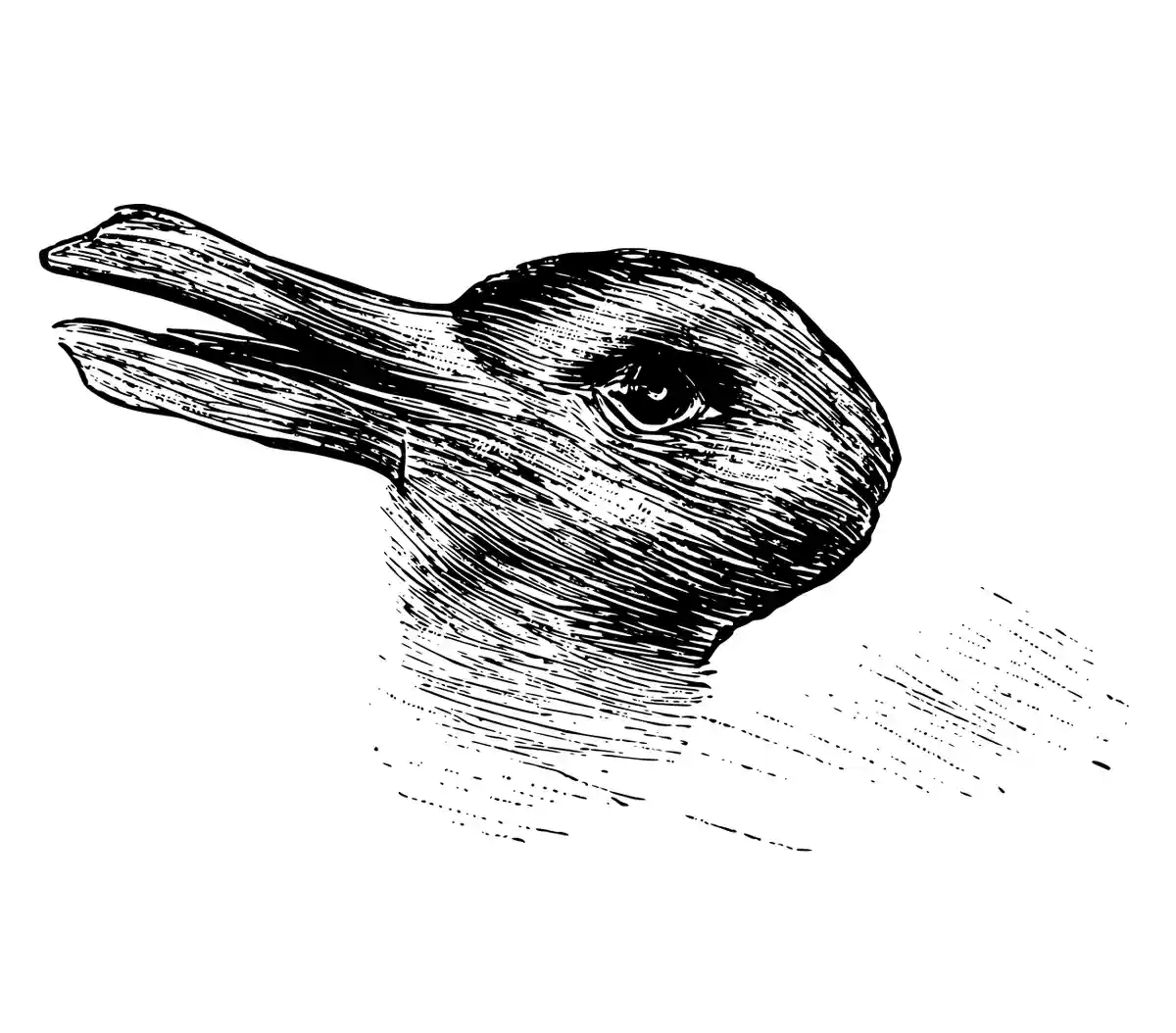 A black-and-white sketch shows a rabbit's head with long ears, but the ears are drawn to resemble duck bills. The image has…