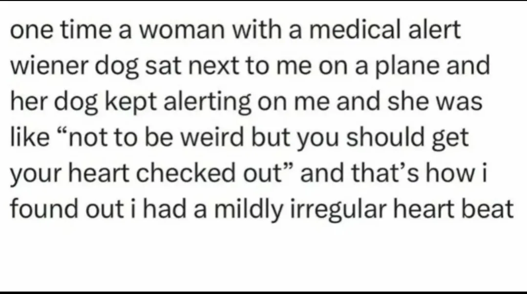 Meet the Certified Wiener Dogtor!
