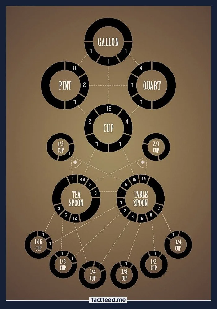 A diagram showing a tree-like structure of U.S. liquid measurement conversions, with circular nodes labeled 'gallon'…