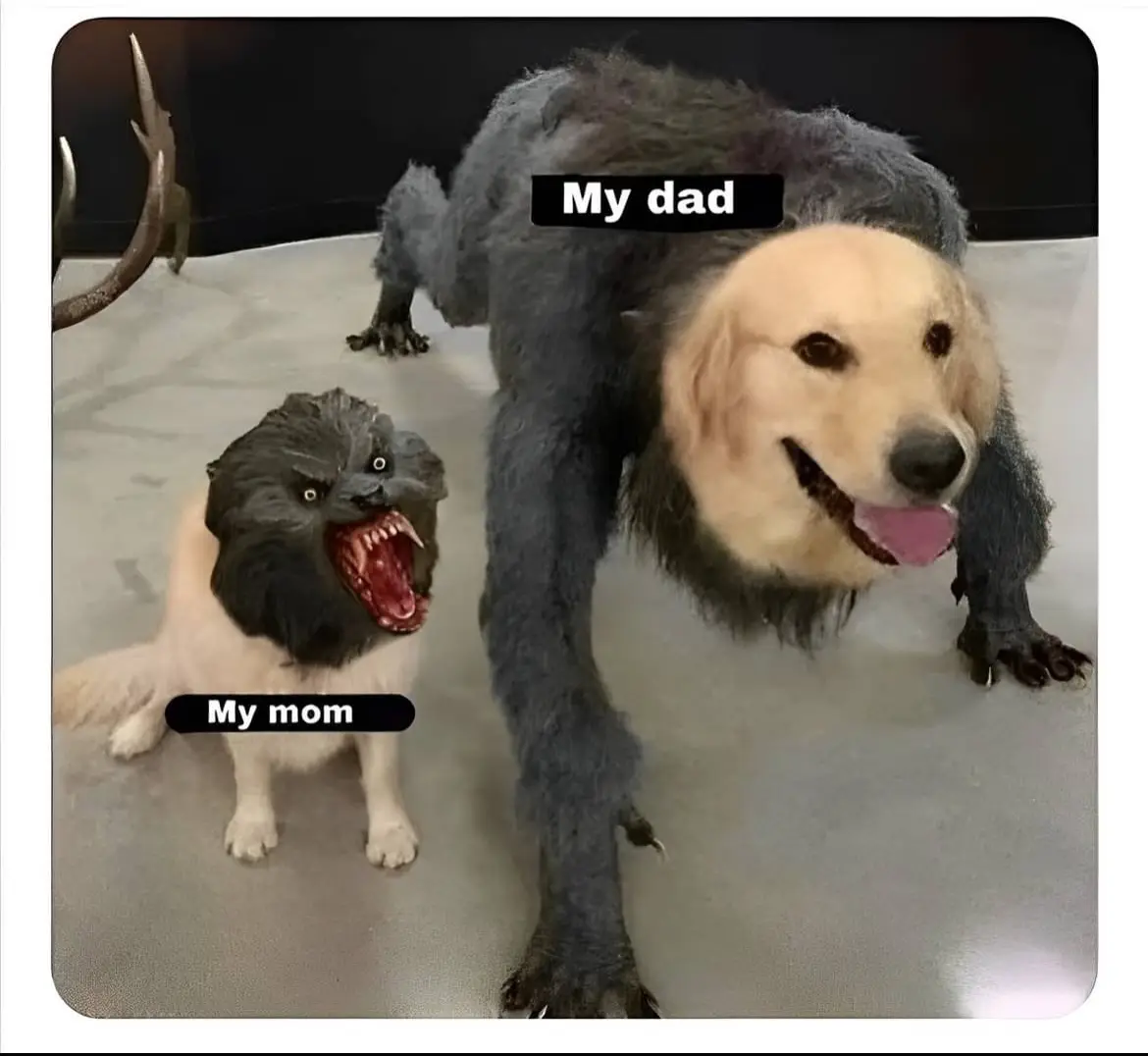 Two dogs are shown, one large golden retriever labeled 'My dad' with a calm, smiling expression, and a smaller white dog…